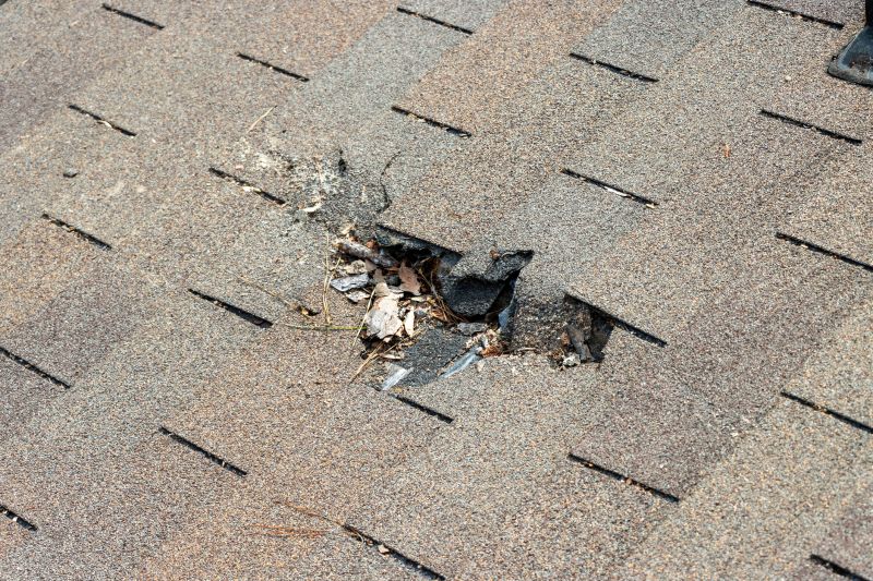 Damaged Roof Replacement in Madison, TN