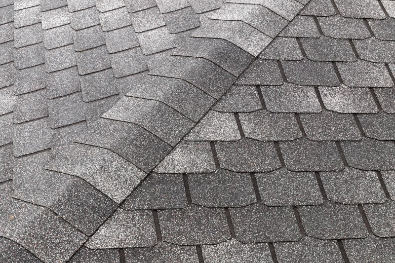 Roof Shingles Replacement in Cheatham County, TN